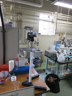 tobu1