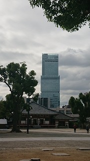 harukas2