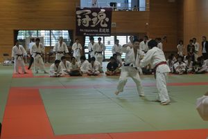25natorijudo.JPG