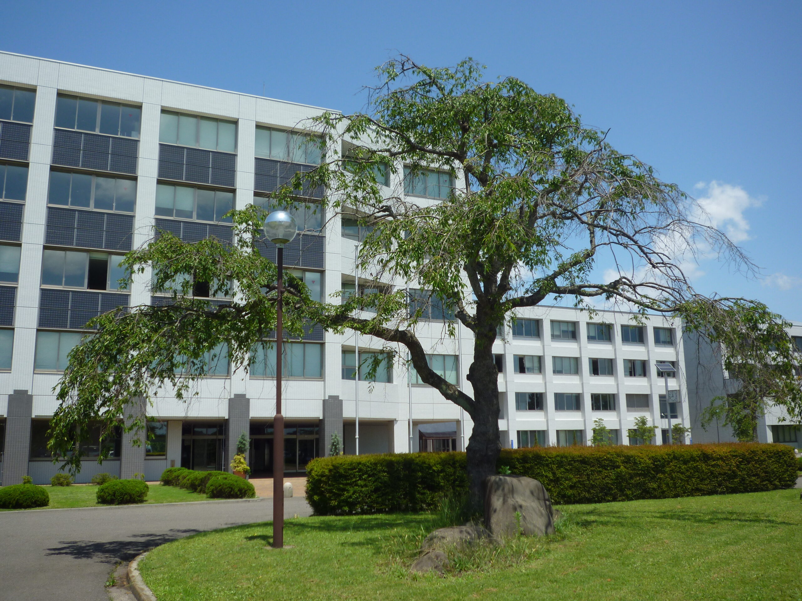 Q & A National Institute of Technology, Sendai College