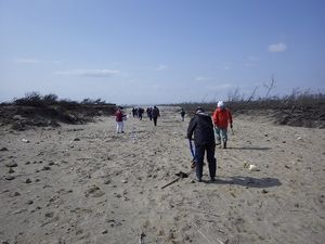 130401sousaku1.jpg