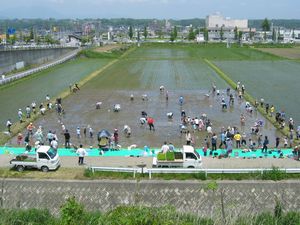 130603hisose3.jpg