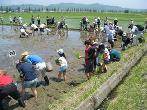 130603hisose4.jpg