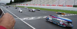 131106ecorun.jpg