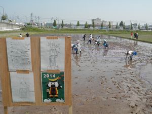140531_tanboart1.jpg