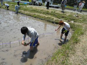 140531_tanboart3.jpg