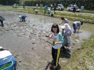 140531_tanboart4.jpg