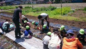 160512 imohori04.jpg