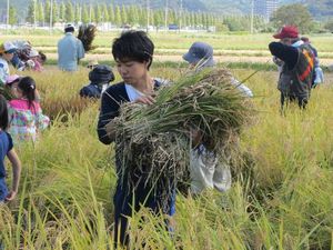 20151003tanbo2.jpg