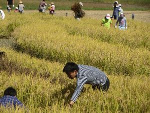 20151003tanbo3.jpg