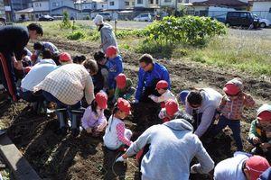 2016.10.27_satsumaimo02.jpg